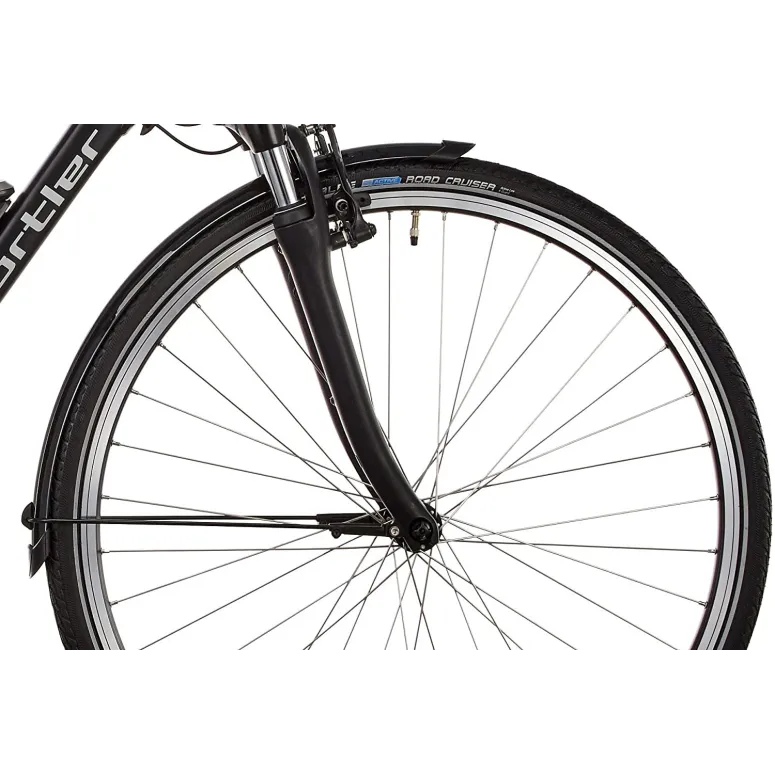 Elektryczny Rower Miejski 28 Nexus 3 Męski 250W ALUMINIOWY