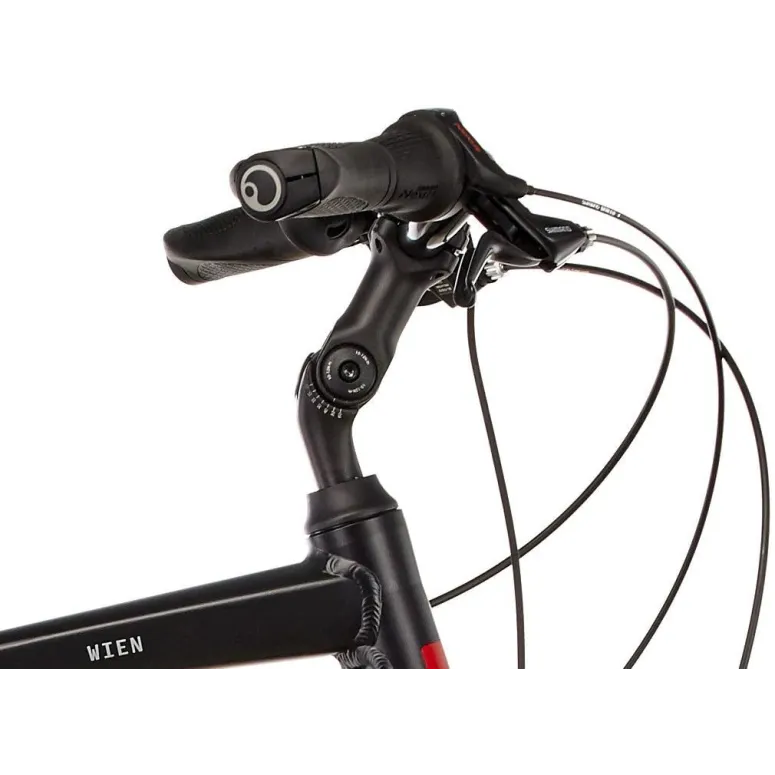 Elektryczny Rower Miejski 28 Nexus 3 Męski 250W ALUMINIOWY