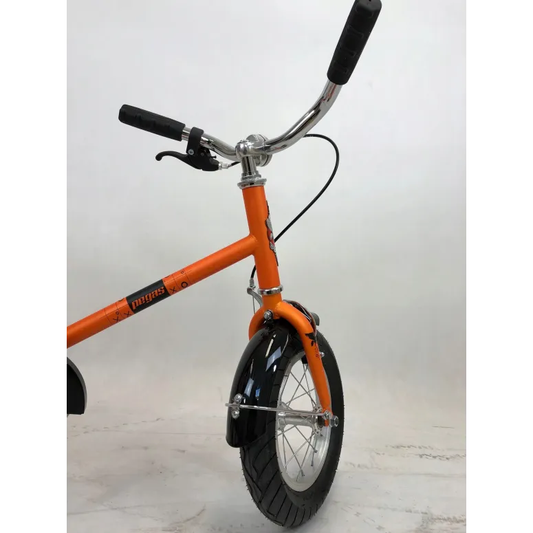 Dziecięcy rowerek Pegas 12,5 Kółka Boczne Bagażnik - 5