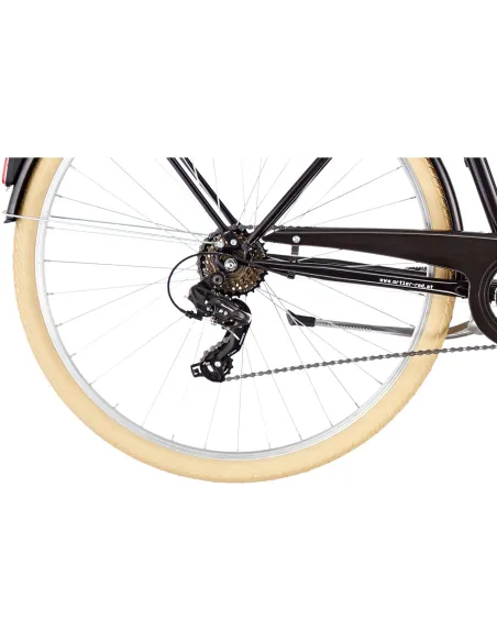 Damski Rower Miejski 28 Dynamo 6 Biegów Akcesoria