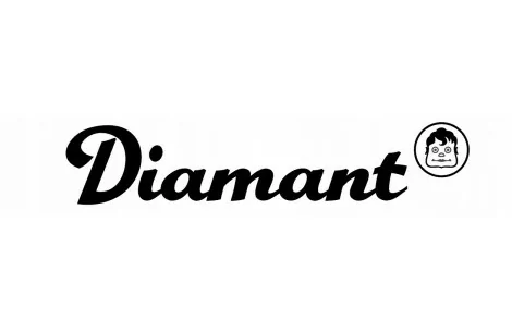 Rower Trekkingowy Damski Diamant Elan 28 Deore - 2