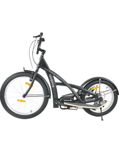 Rower Fitness Stepper 24