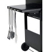 Grill Gazowy TEPRO 3153 Richfield 4 Ogrodowy 4-palniki 12 kW Szafka Półki