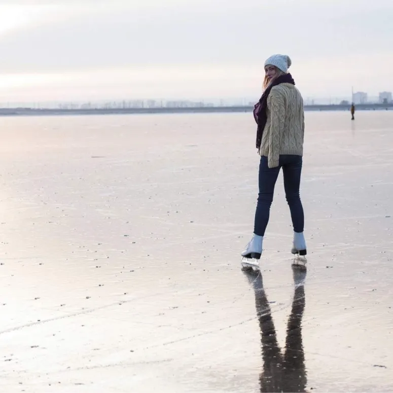 Łyżwy Figurowe Damskie Roces Paradise Lama Trwałe Pewne Dopasowanie 40