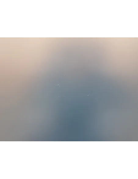 Stół Do Tenisa Stołowego CORNILLEAU 100X Ping Pong Outdoor Składany