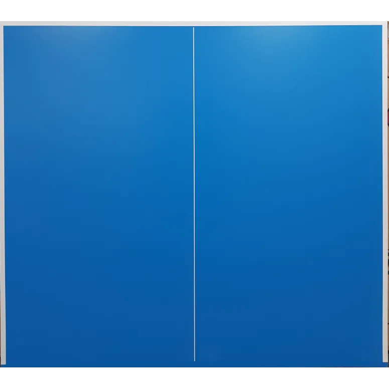 Stół do Tenisa Stołowego Pin Pong Dione S500o 6mm Outdoor Składany