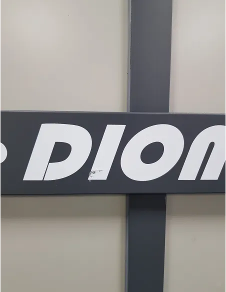 Stół do Tenisa Stołowego Pin Pong Dione S500o 6mm Outdoor Składany