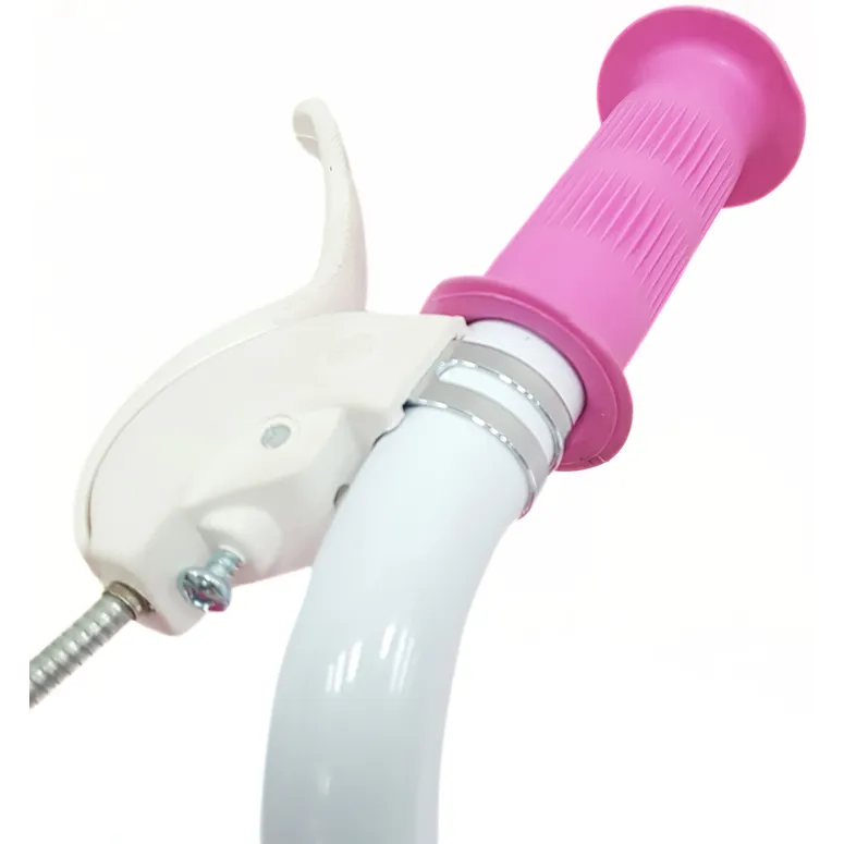 Rower Dziecięcy 12" Stal V-brake Rowerek Dla Dziewczynki Bagażnik Na Lalki