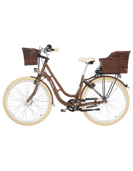 Rower Elektryczny Fischer ER1804 ALU Nexus 250W