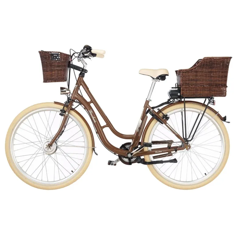 Rower Elektryczny Fischer ER1804 ALU Nexus 250W