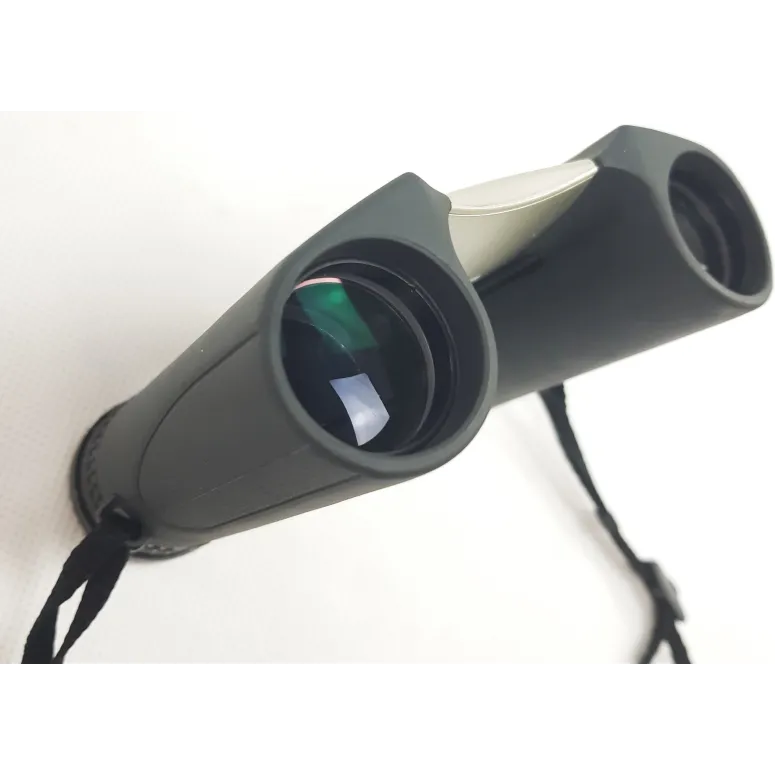 Lornetka Turystyczna Kieszonkowa Nikon SPORTSTAR EX 10x25 DCF Wodoodporna