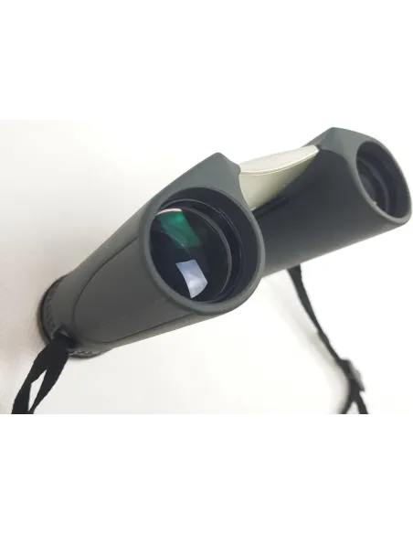 Lornetka Turystyczna Kieszonkowa Nikon SPORTSTAR EX 10x25 DCF Wodoodporna