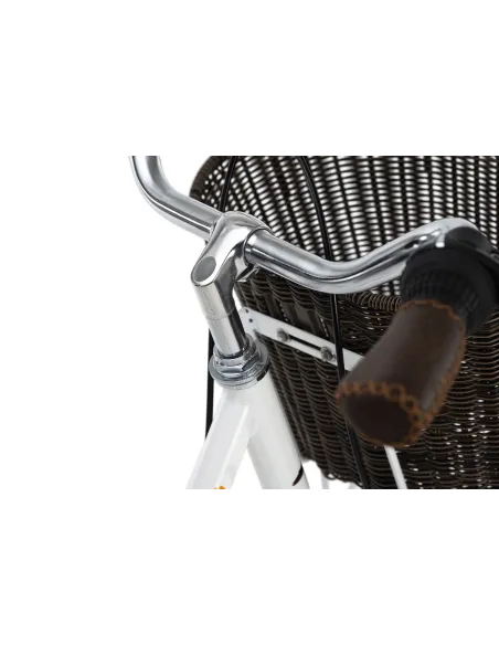 Damski Rower Miejski 26 Retro Kosz 6 bieg Światła