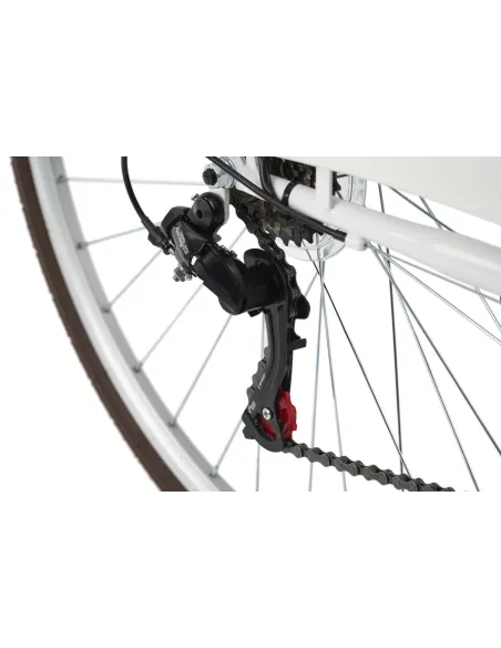 Damski Rower Miejski 26 Retro Kosz 6 bieg Światła