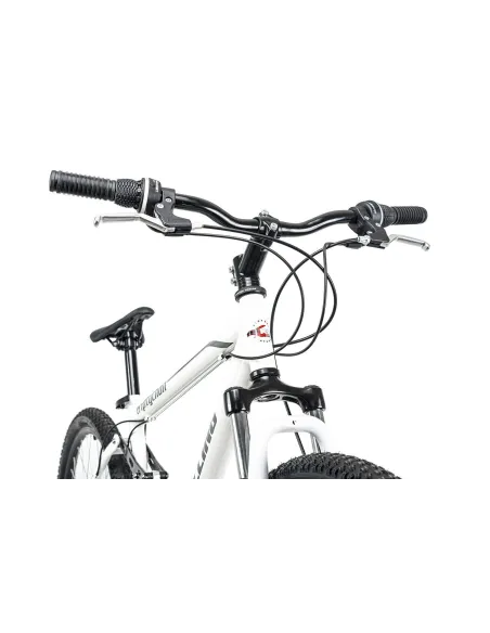 Rower Górski 29 Pełna Amortyzacja Tarcze Unisex