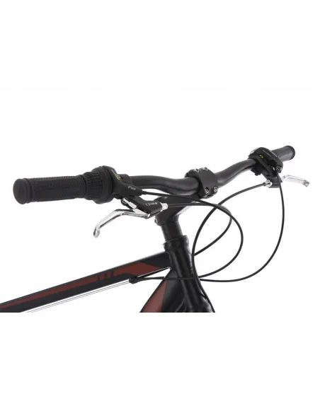 Rower Męski Górski 29 MTB Sharp 21 Biegów