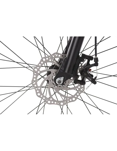 Rower Górski Męski 29 Tarcze Amortyzacja ALU