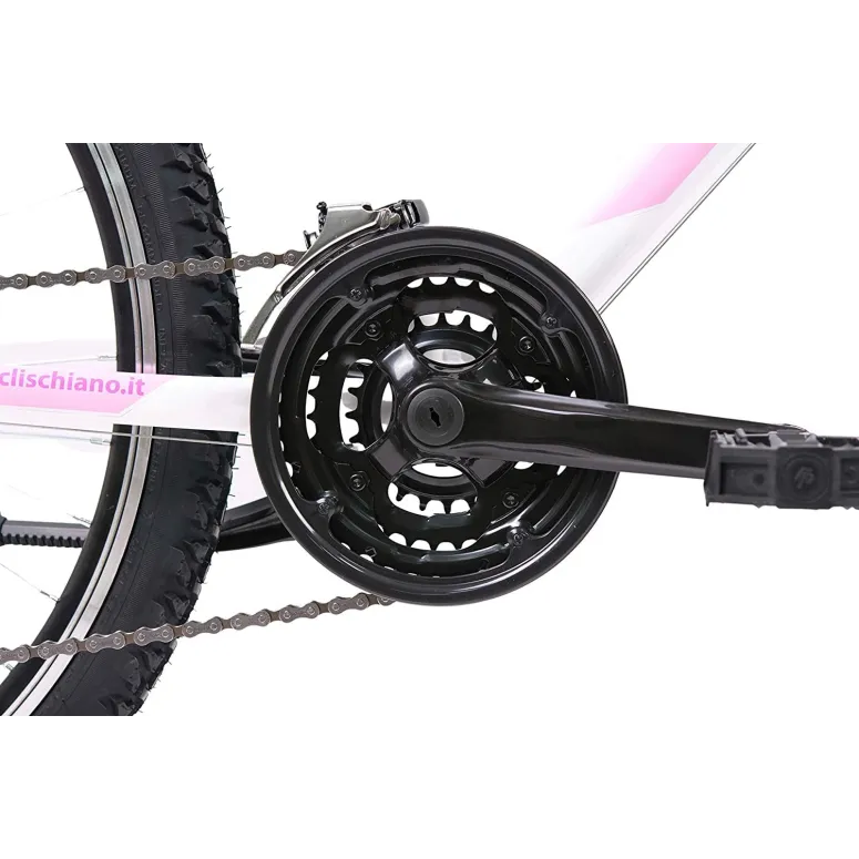 Damski Rower Górski 26 Amortyzacja ALU 21 Bieg