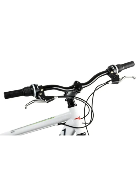 Rower Górski 29 Terenowy Tarcze 21 Biegów Błotniki