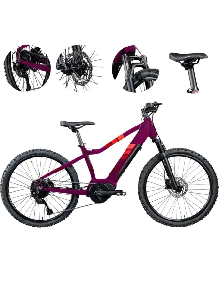 Rower Elektryczny Górski MTB 24" Młodzieżowy Dziecięcy Ananda 250W 25km/h