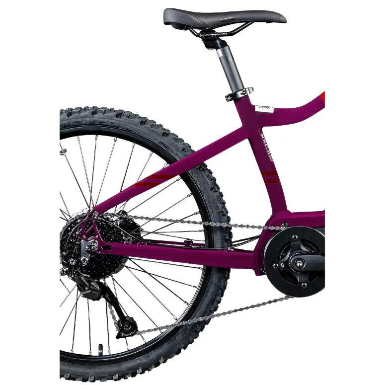 Rower Elektryczny Górski MTB 24" Młodzieżowy Dziecięcy Ananda 250W 25km/h