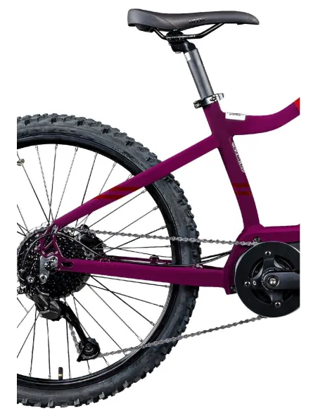 Rower Elektryczny Górski MTB 24" Młodzieżowy Dziecięcy Ananda 250W 25km/h