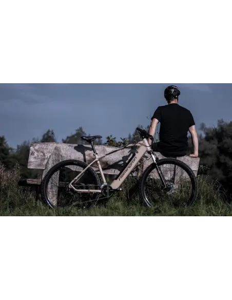 Rower Elektryczny Górski 29" MTB ALU Hydraulika 250W Schimano Alivio LCD