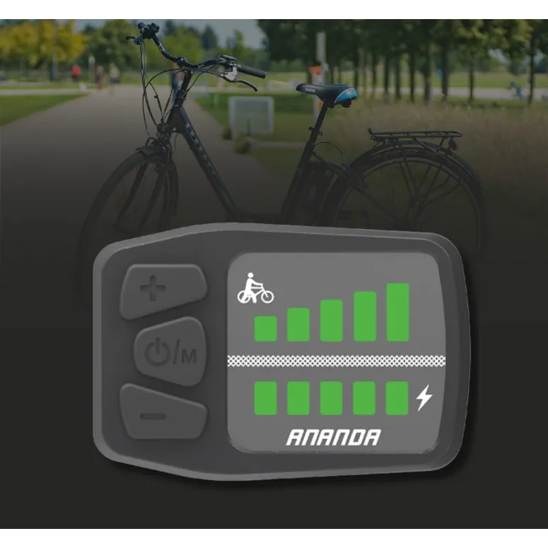 Elektryczny Rower Miejski 28 Wspomaganie 250 W 10Ah Revo Błotniki Dzwonek