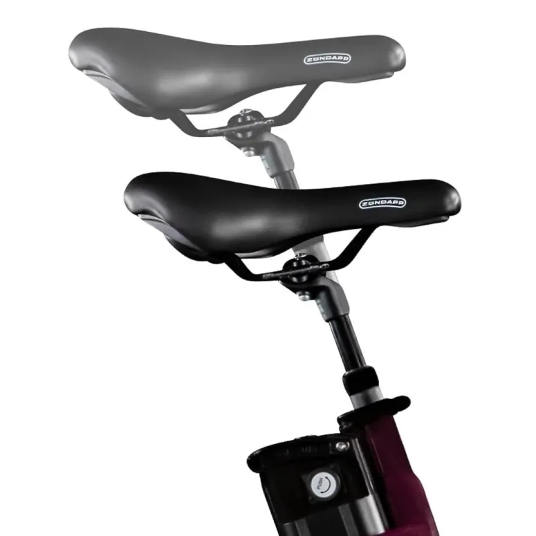 Rower Elektryczny Miejski Damski 26" Nexus 250W Bagażnik Światła 25 km/h