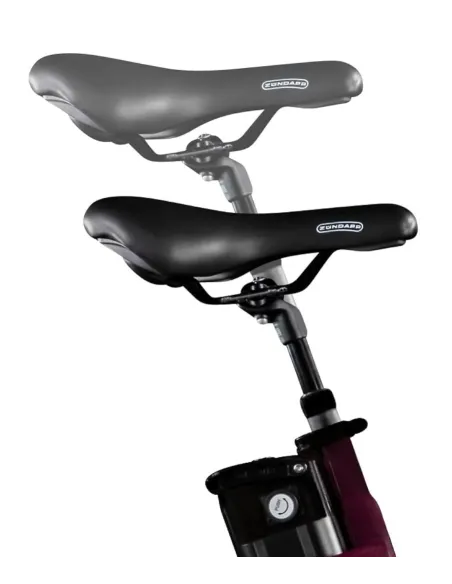 Rower Elektryczny Miejski Damski 26" Nexus 250W Bagażnik Światła 25 km/h