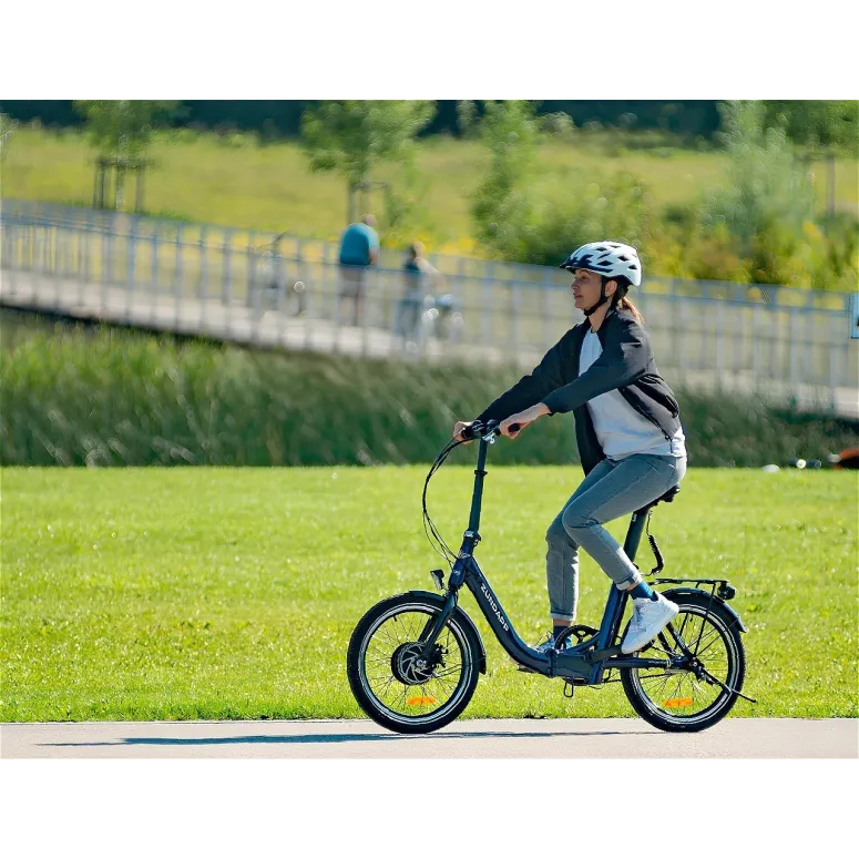 Elektryczny Rower Miejski 20 ALU 250W Nexus Bagaż 5 Trybów Błotniki Stopka