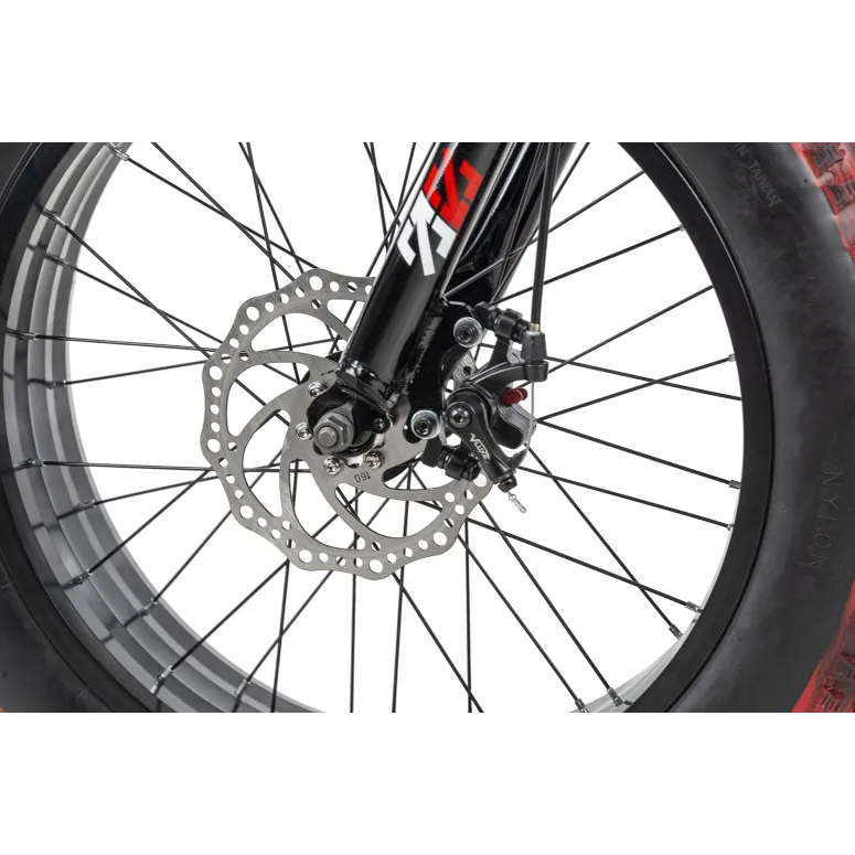 Dziecięcy Rower Fatbike 20 Górski Tarcze 6 Biegów - 7