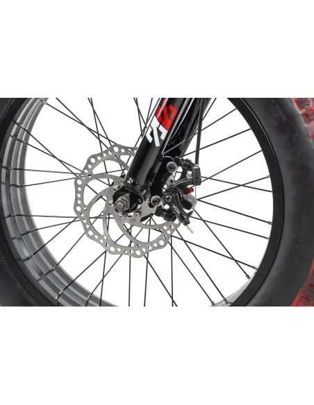 Dziecięcy Rower Fatbike 20 Górski Tarcze 6 Biegów - 7