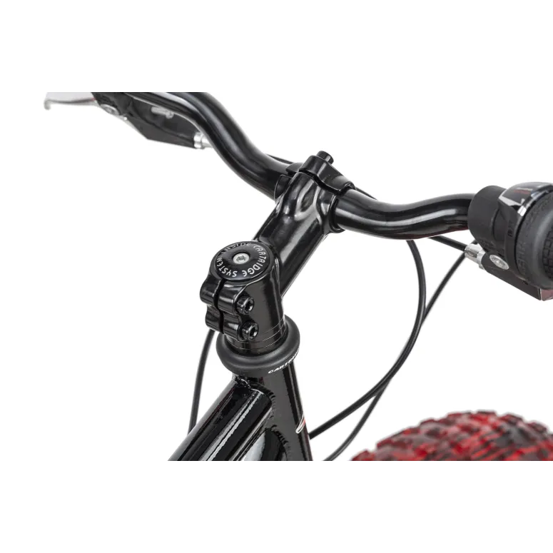 Dziecięcy Rower Fatbike 20 Górski Tarcze 6 Biegów - 9