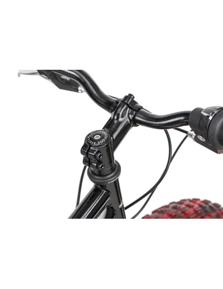 Dziecięcy Rower Fatbike 20 Górski Tarcze 6 Biegów - 9