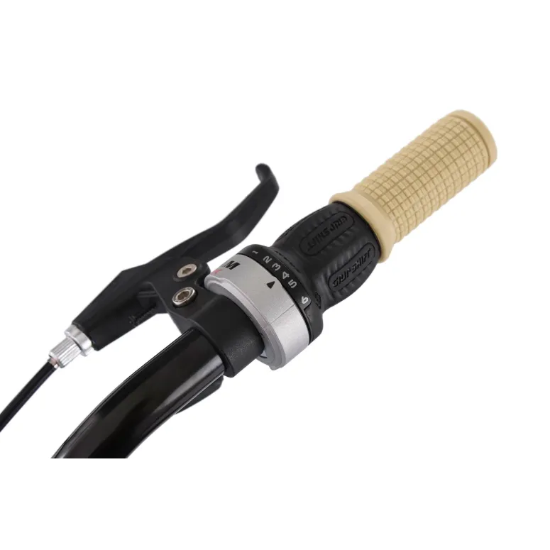 Dziewczęcy Rower Miejski 24 Bagażnik 6 Bieg Damka