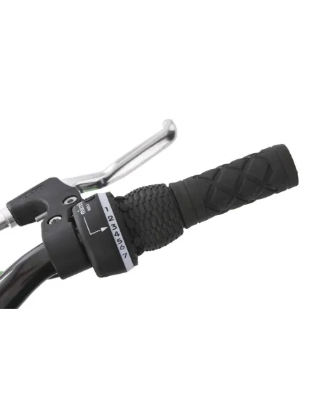 Rower Górski Młodzieżowy 24 Amortyzacja 21 Biegów