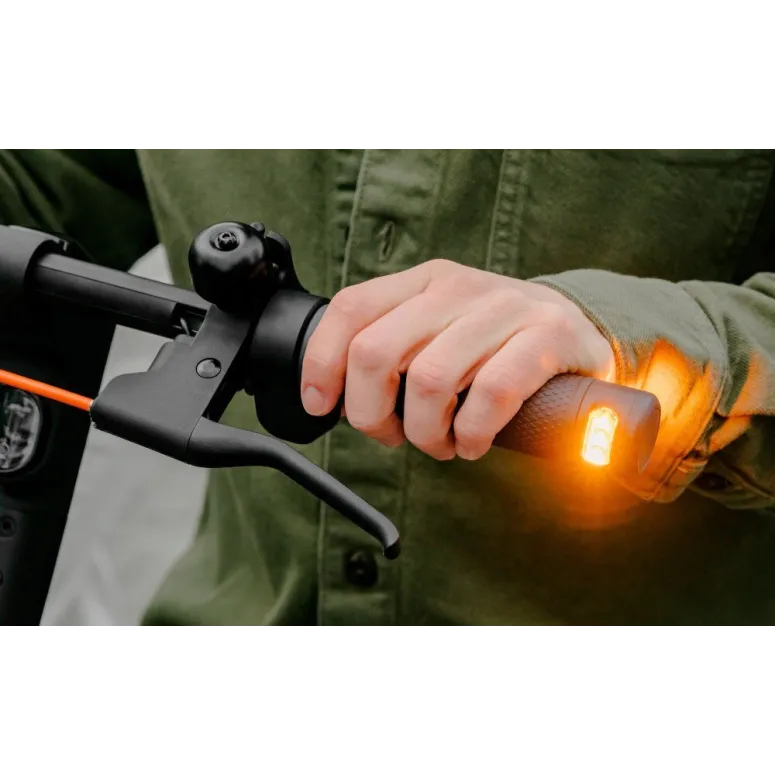 Hulajnoga Elektryczna Segway Ninebot F2 PRO D 3 Tryby 55km IPX5 E-ABS 450W