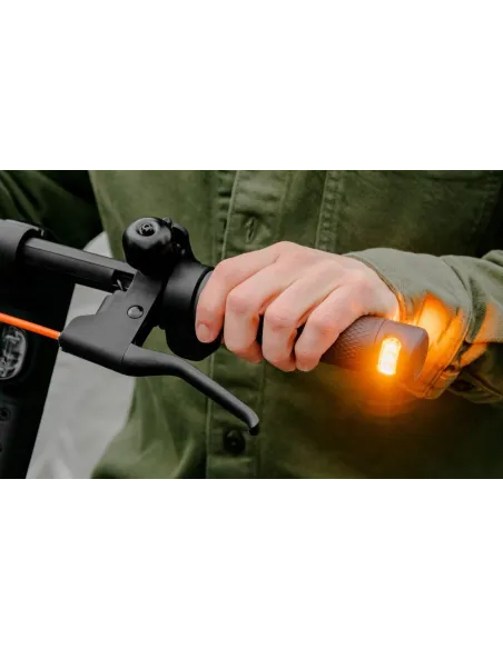 Hulajnoga Elektryczna Segway Ninebot F2 PRO D 3 Tryby 55km IPX5 E-ABS 450W