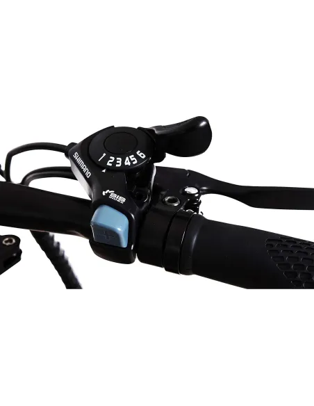 Rower Elektryczny Składany 20 Tarcze 250W 5 Trybów