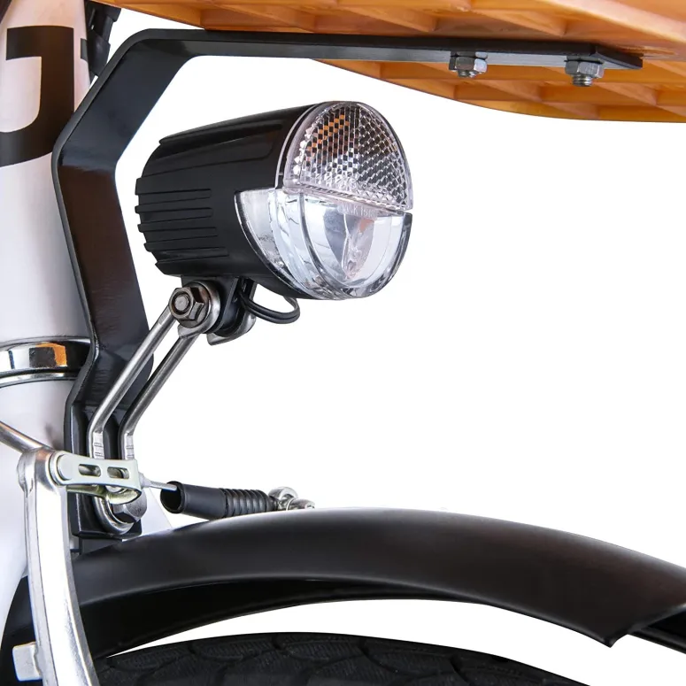 Elektryczny Rower Składany 20 Wspomaganie 250W