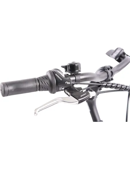 Elektryczny Rower Miejski 28 Wspomaganie 250W