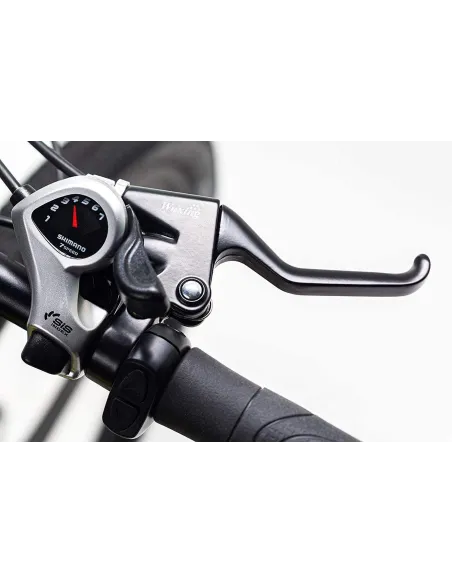 Rower Elektryczny Górski MTB 29 Wspomaganie 250W