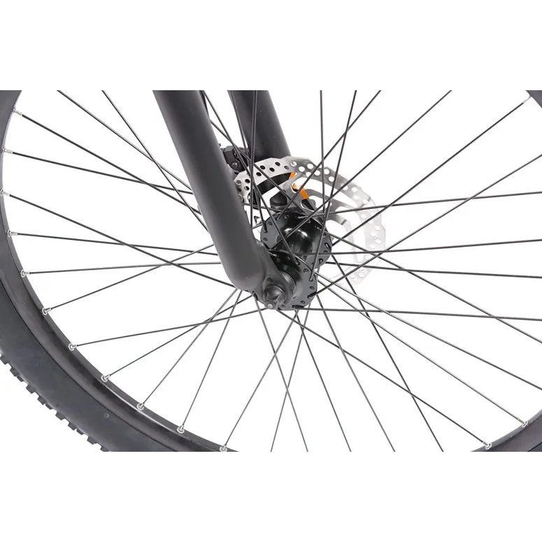 Rower Elektryczny Górski 29 Tarcze ALU 250W 11,6Ah