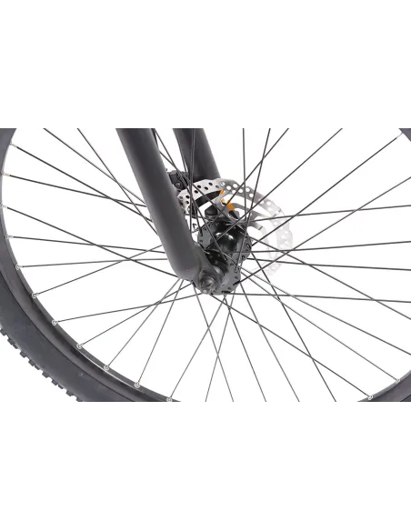 Rower Elektryczny Górski 29 Tarcze ALU 250W 11,6Ah