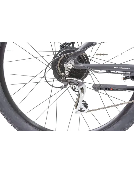 Rower Elektryczny Górski 29 Tarcze ALU 250W 11,6Ah