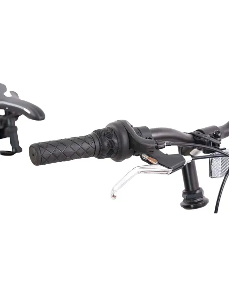 Damski Rower Górski 26 Amortyzacja ALU 21 Bieg