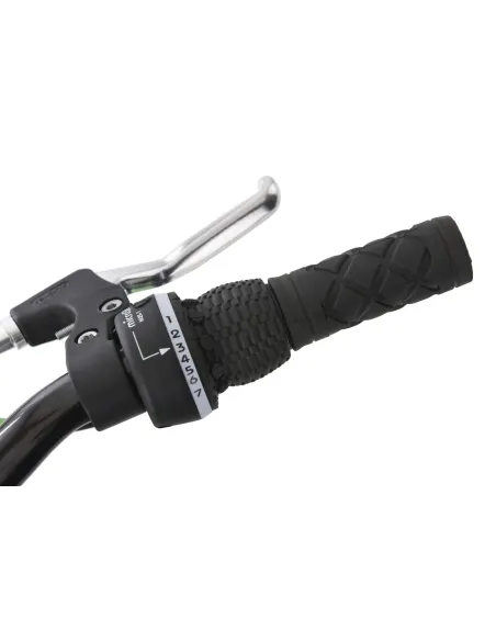 Rower Górski Dziecięcy 20 Tarczowe Amory 7 bieg