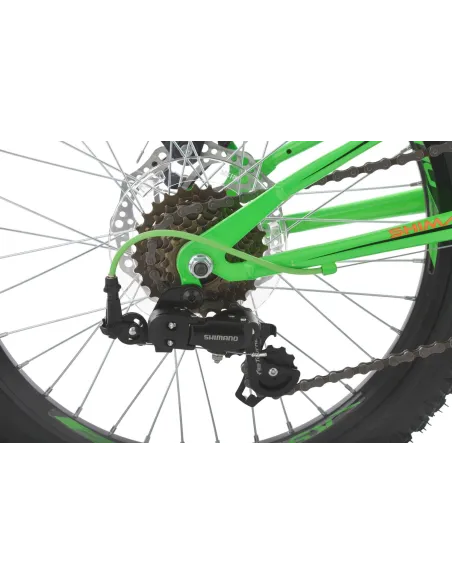 Rower Górski Dziecięcy 20 Tarczowe Amory 7 bieg