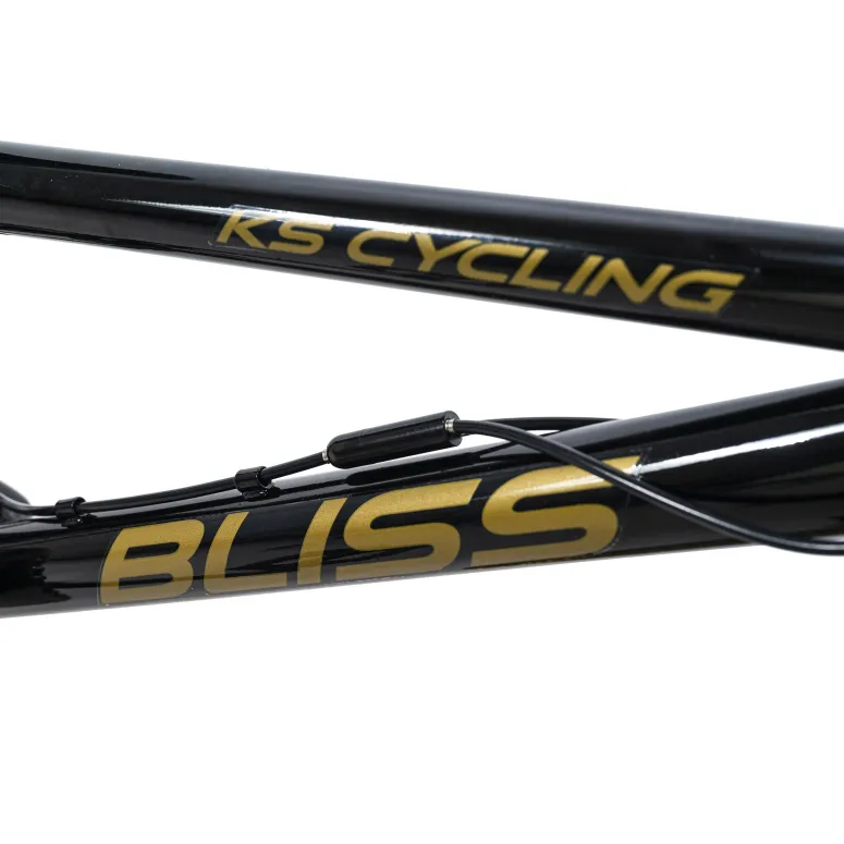 Rower BMX 20 Chłopięcy Pegi Tricki Kierownica Obrotowa Rotor 360 Wyczynowy